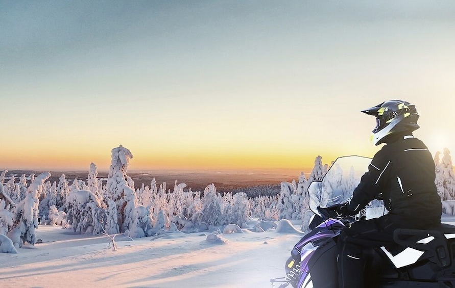 Rovaniemi: Snowmobile Adventure for the Beginners