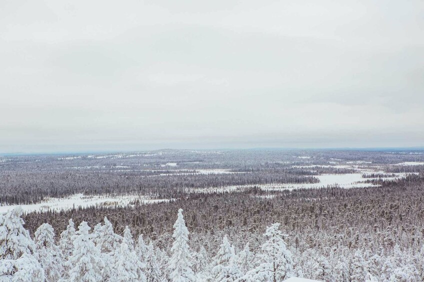 Day view of Rovaniemi

