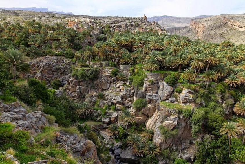 Mountain and palm grove in Oman