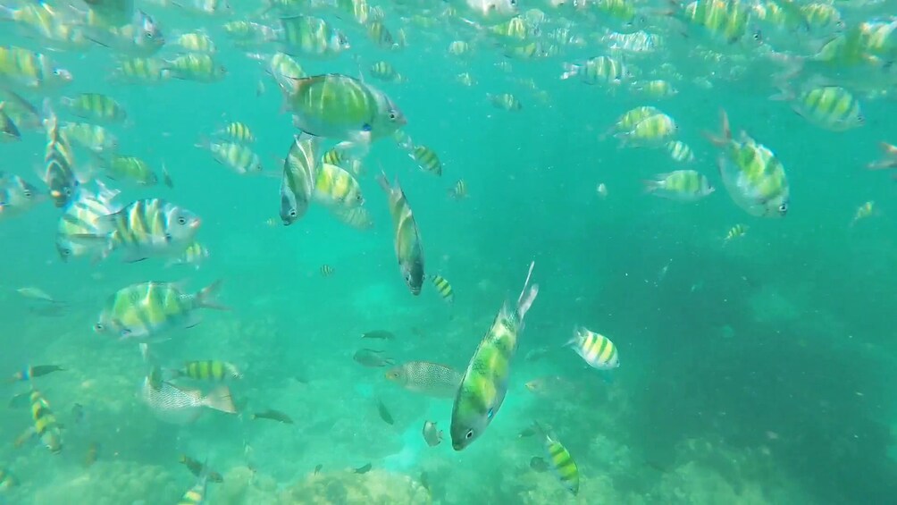 Phi Phi Islands 9AM. - Daytime Delight