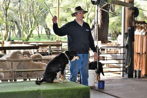Caversham Wildlife Park, Mandoon Estate and Swan Valley Tour