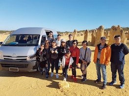 Yanchep, Lancelin sand dunes and Pinnacles private tour