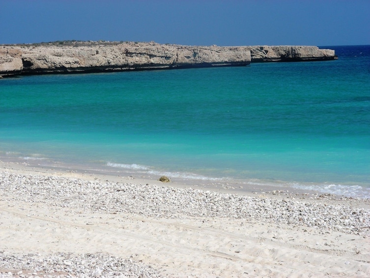 Beach of Fins in Muscat