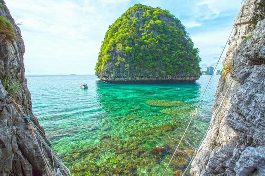 Phi Phi Islands X-Large The Early Bird