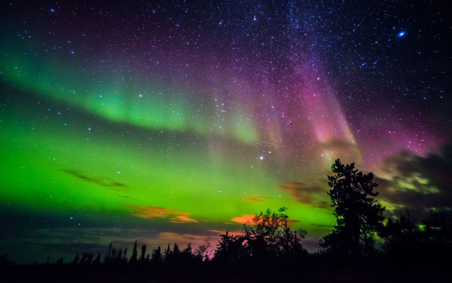 Rovaniemi: Night of Reindeer and Northern Lights