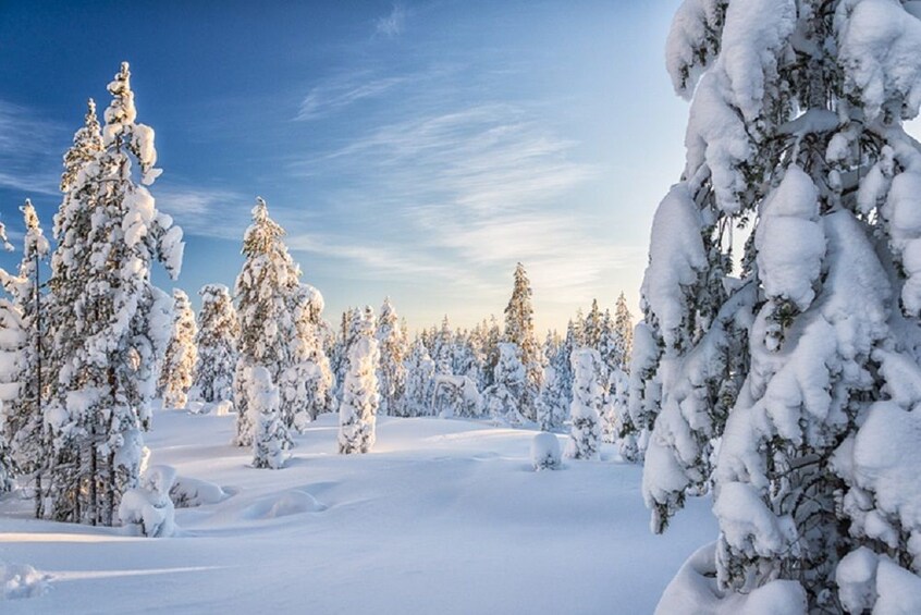 Beautiful snow in Rovaniemi