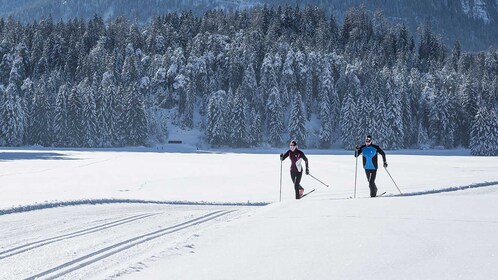 Rovaniemi: Cross Country Ski Experience