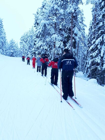 Rovaniemi: Cross Country Ski Experience