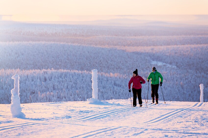 Rovaniemi: Cross Country Ski Experience