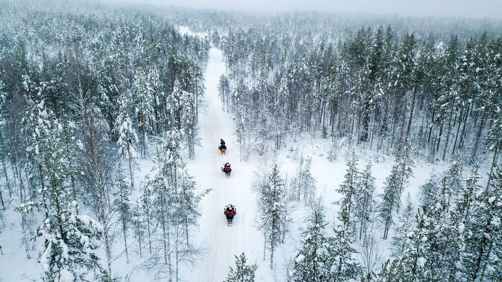 Rovaniemi: Full-Day Snowmobile Safari