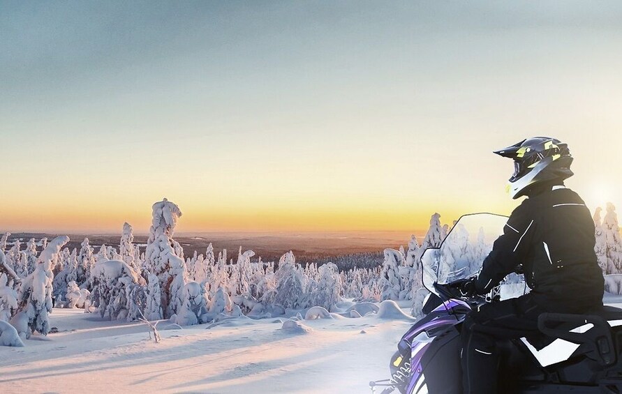 Rovaniemi: Full-Day Snowmobile Safari
