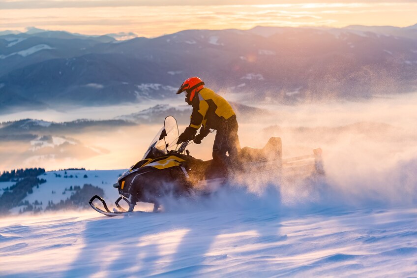 Rovaniemi: Full-Day Snowmobile Safari