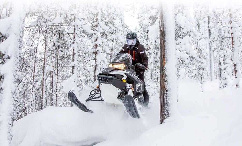 Rovaniemi: Full-Day Snowmobile Safari