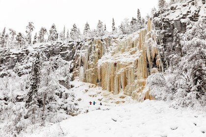 Rovaniemi: เดินป่าสู่น้ำตกน้ำแข็งแห่ง Korouoma