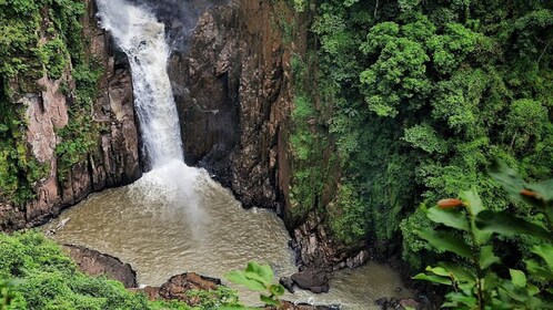 Ayutthaya and Khao Yai National Park Day Trip