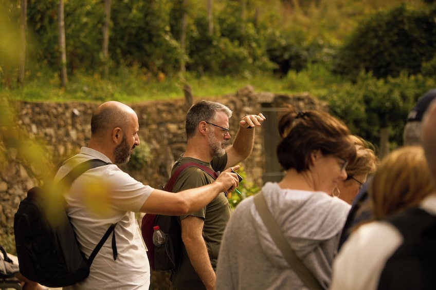 Cinque Terre Discovery & Vineyards Escape 