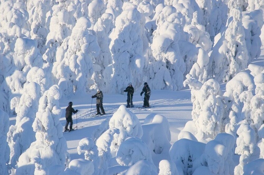 Rovaniemi: Slalom and Alpine Skiing