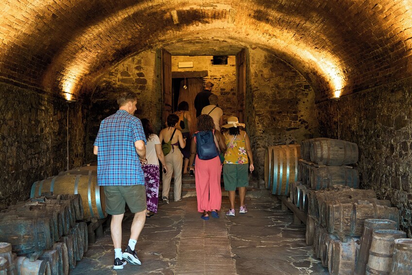 Tuscany Chianti Wine & Olive Oil Trail