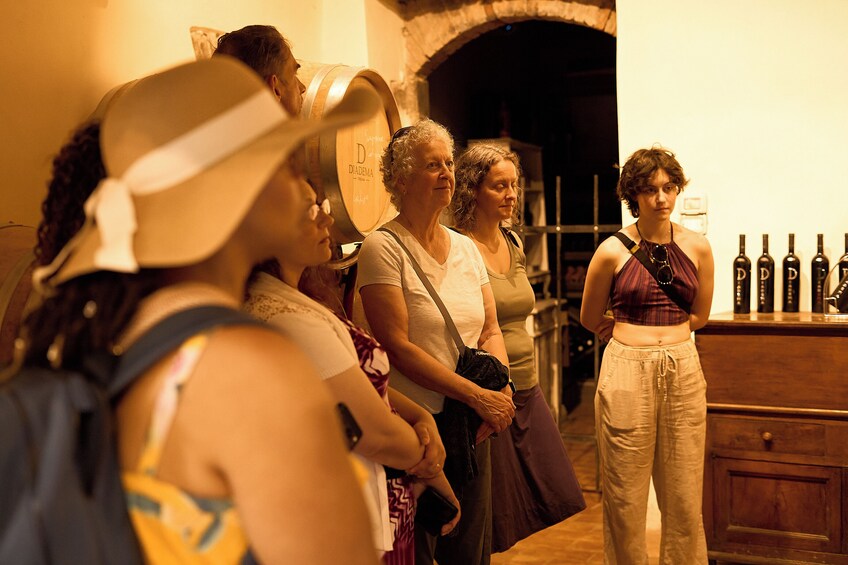 Tuscany Chianti Wine & Olive Oil Trail