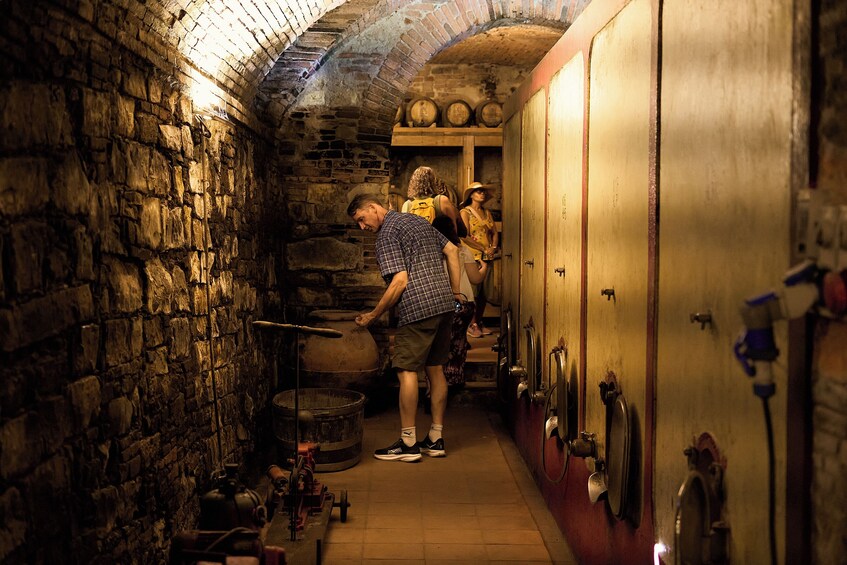 Tuscany Chianti Wine & Olive Oil Trail