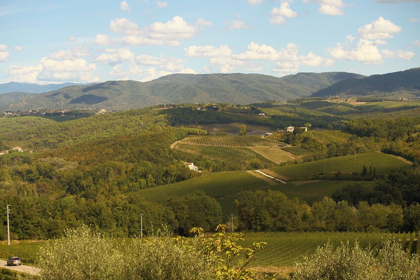 Tuscany Chianti Wine & Olive Oil Trail