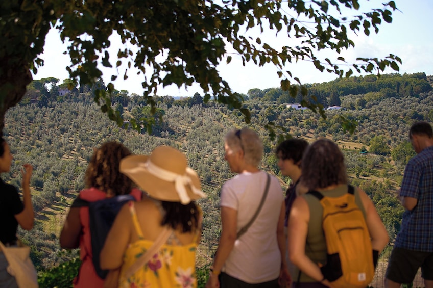 Supertuscan Wine Tour: Masterclass by a Wine Expert