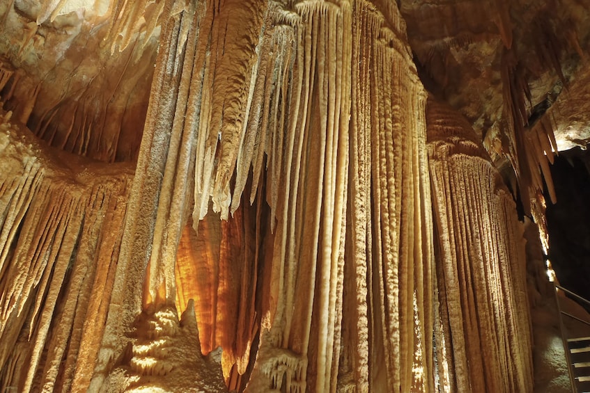 Cargar ítem 1 de 8. Extended Orient Cave Tour - for Night Owls