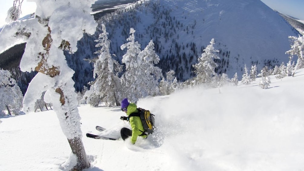 Rovaniemi: Full-day Skiing Adventure in Levi Ski Resort