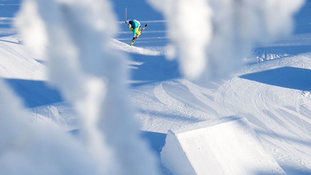 Rovaniemi: Full-day Skiing Adventure in Levi Ski Resort