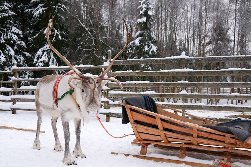 Show item 4 of 8. Santa Claus Village, Arctic Circle and Lappish Buffet