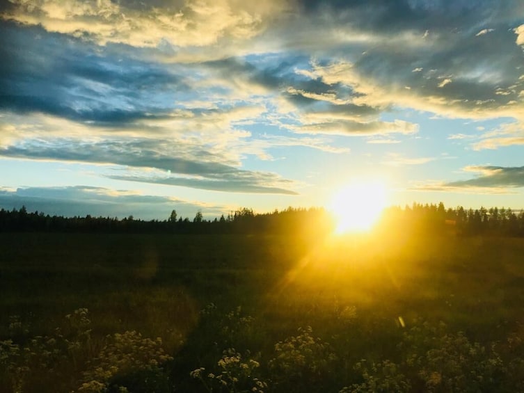 Rovaniemi: Midnight Sun Summer Floating in Forest Lake