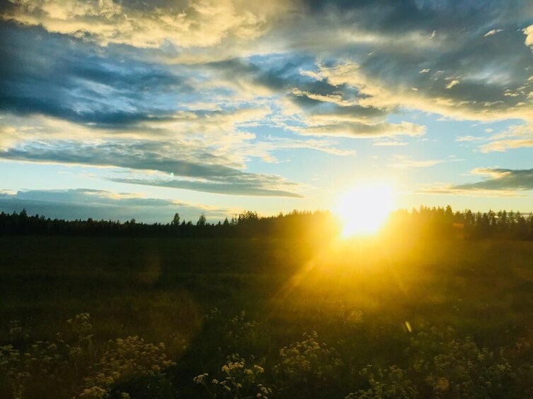 Rovaniemi: Midnight Sun Summer Floating in Forest Lake