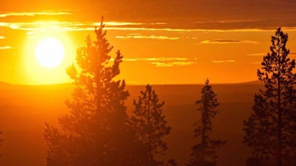 Finnish forest lake in Rovaniemi at sunset 