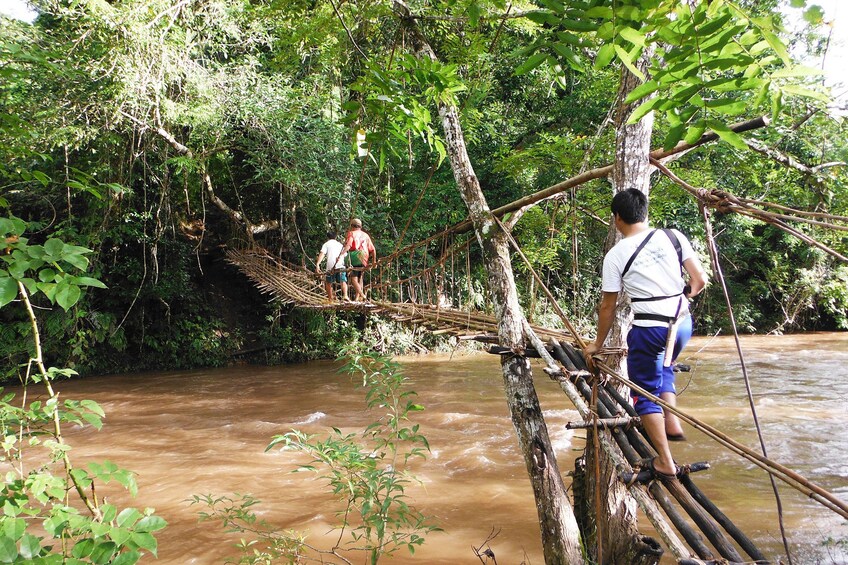 Tourists trek across narrow wooden bridge in Nam Ha National Park