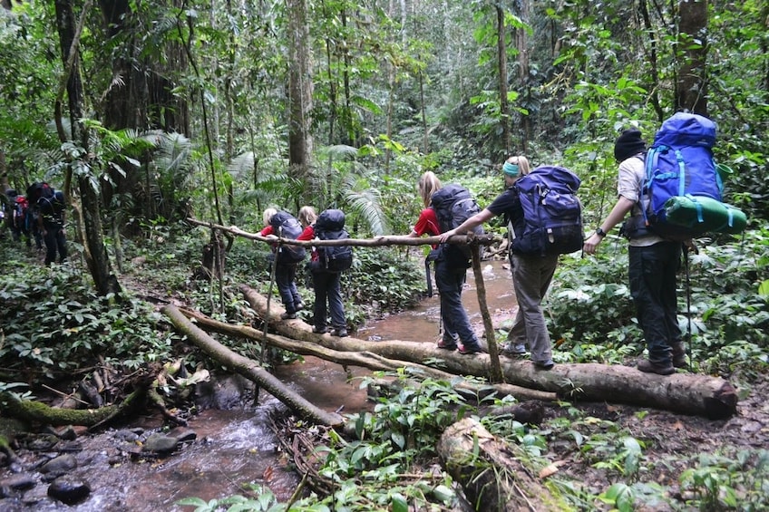 Tourists walk across log in Nam Ha National Park