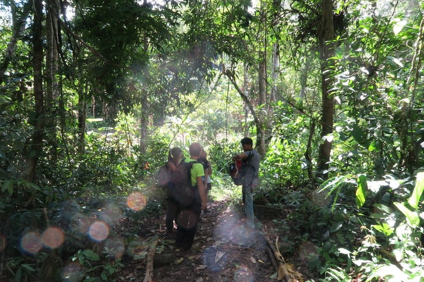 Group on a trail walk at Nam Ha National Bio-Diversity Conservation Area in Luang Namtha
