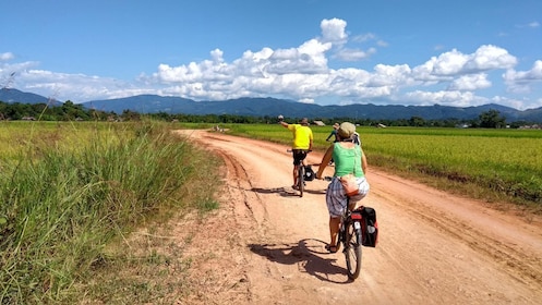 Excursion d'une journée dans la vallée de Luang Namtha