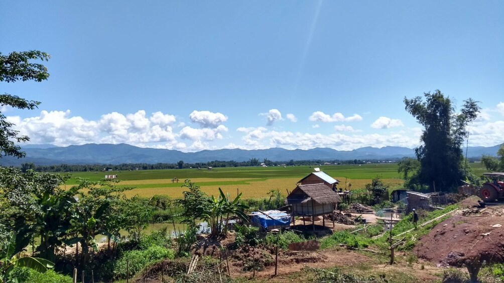 Panoramic views of fields in Luang Nam Tha Valley, Laos