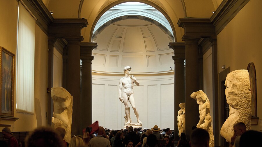 Accademia Skip the line: 1 Hour with David