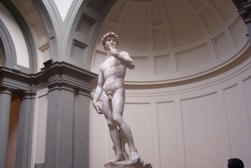 The David at the Accademia Gallery Museum in Florence