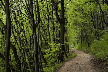 Perfekte Fahrradtour in Brasov