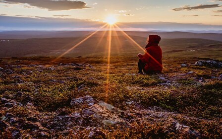 Rovaniemi: Midnight Sun Photography Tour