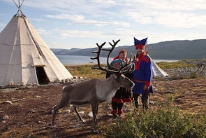 Rovaniemi: Reindeer Farm Visit in the Summer