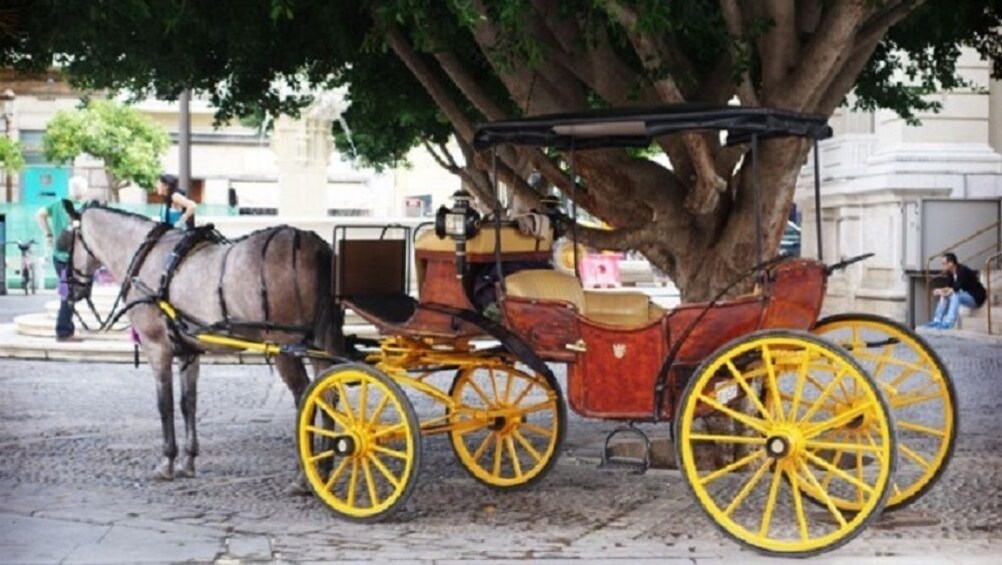 Horse-drawn carriage in Seville