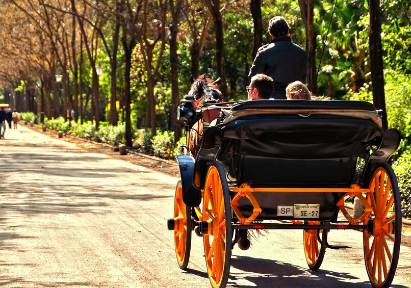 Horse-drawn carriage ride through Seville