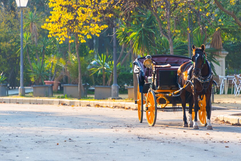 Horse-drawn carriage ride through Seville