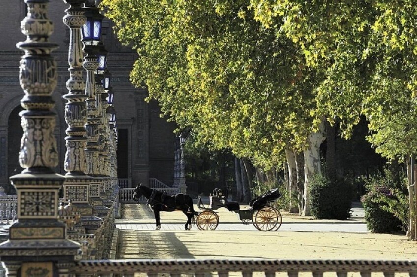 Horse-drawn carriage in Seville