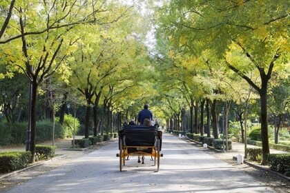 Paseo en carruaje tirado por caballos por Sevilla