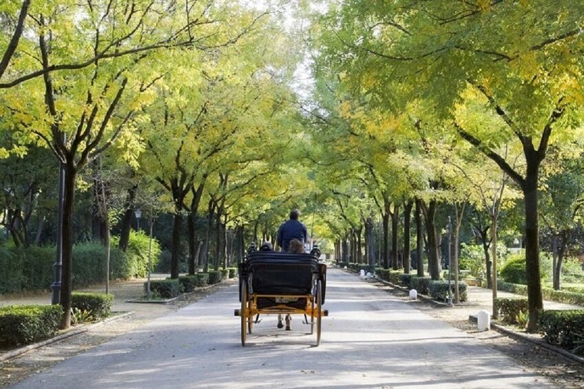 Horse-drawn carriage in Seville