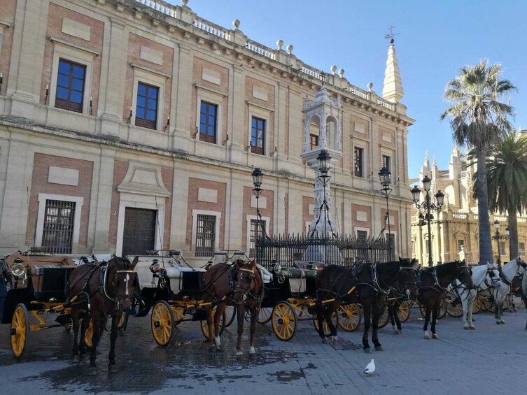 Horse-drawn carriage ride through Seville